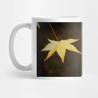 A Leaf at Sunset Mug